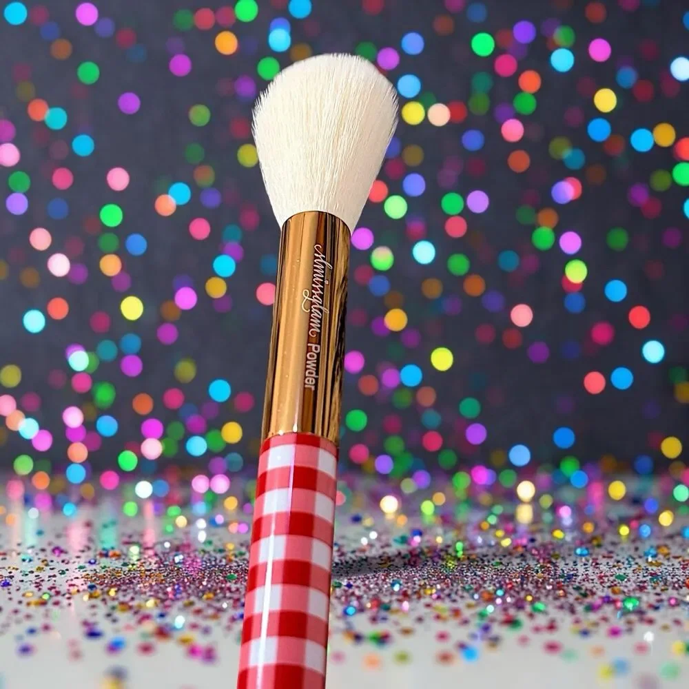 SLMISSGLAM  Gingham Face Brush Brand New MSRP $28